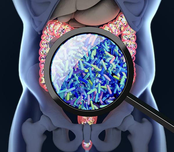 The gut microbiome affects your health