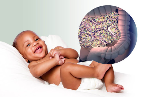 Probiotics may shape baby's gut microbiota.