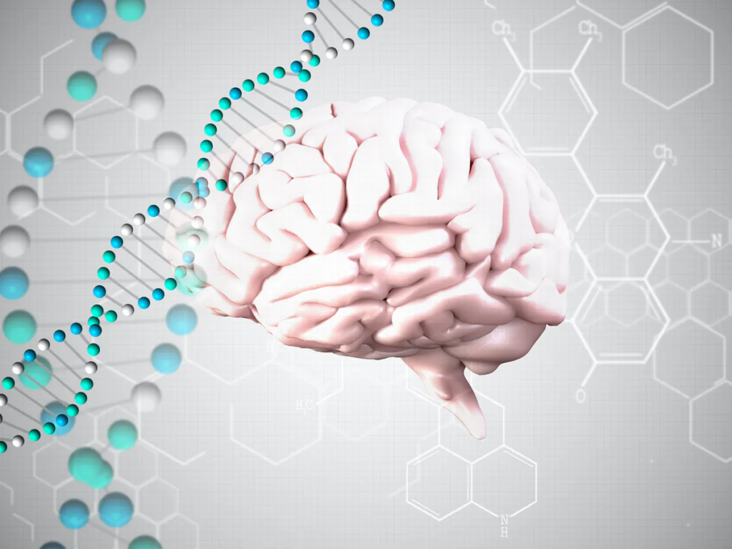 Your genes can affect your risk of Alzheimer's disease. 