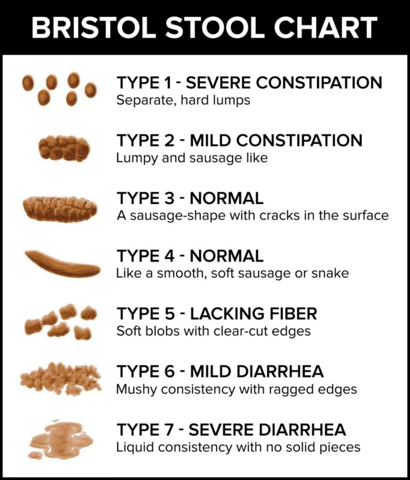 What Your Poop Says About Your Gut Health Herology